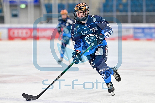 Eishockey, Frauen, DFEL, Saison 2024-2025, ERC Ingolstadt - ECDC Memmingen Indians, 16.11.2024