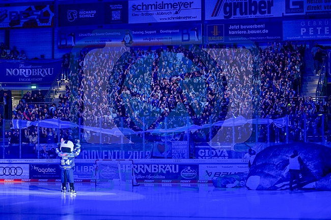 Eishockey, Herren, DEL, Saison 2025-2026, Spiel 51, ERC Ingolstadt - Augsburger Panther, 13.03.2026