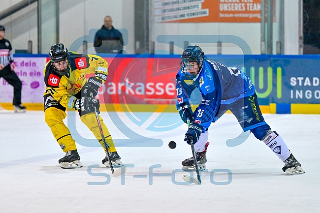 Eishockey, Herren, U20 DNL, Saison 2025-2026, Halbfinale - Spiel 5, ERC Ingolstadt - Krefelder EV 81, 24.03.2026