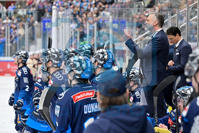 Eishockey, Herren, DEL, Saison 2024-2025, Playoffs Viertelfinale, Spiel 1, ERC Ingolstadt - Nürnberg Ice Tigers, 16.03.2025