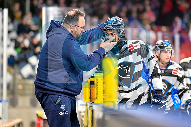 Eishockey, Herren, DEL, Saison 2024-2025, Playoffs Viertelfinale, Spiel 1, Nürnberg Ice Tigers - ERC Ingolstadt, 18.03.2025