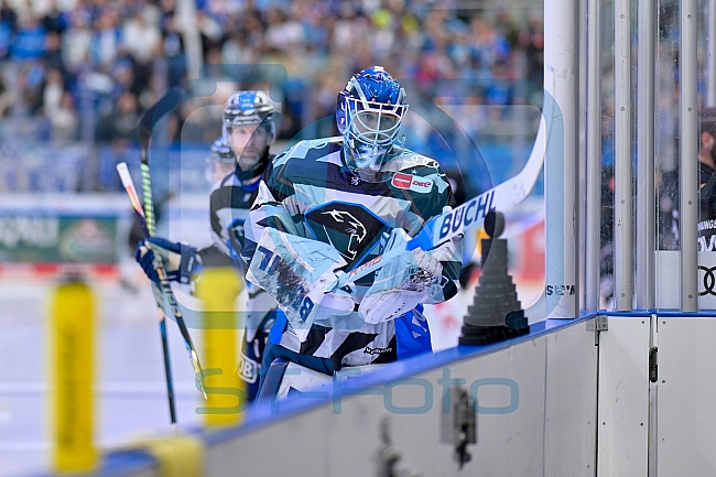 Eishockey, Herren, DEL, Saison 2024-2025, Playoffs Halbfinale, Spiel 3, ERC Ingolstadt - Kölner Haie, 06.04.2025