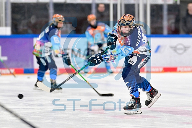 Eishockey, Frauen, DFEL, Saison 2024-2025, ERC Ingolstadt - ECDC Memmingen Indians, 16.11.2024