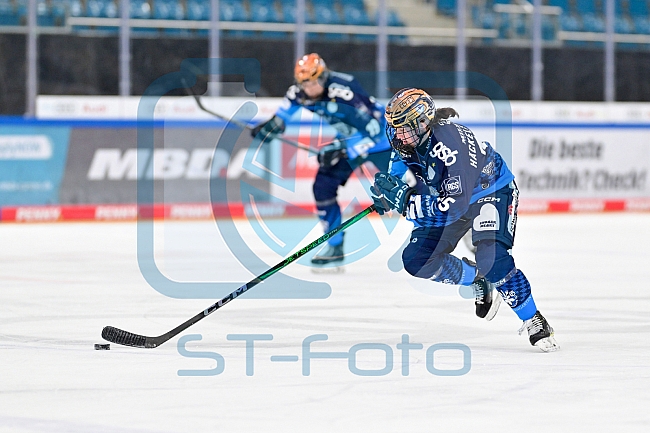 Eishockey, Frauen, DFEL, Saison 2024-2025, ERC Ingolstadt - ECDC Memmingen Indians, 16.11.2024
