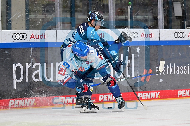 Eishockey, Herren, DEL, Saison 2022-2023, Playoff-Halbfinale - Spiel 3, ERC Ingolstadt - Adler Mannheim, 04.04.2023