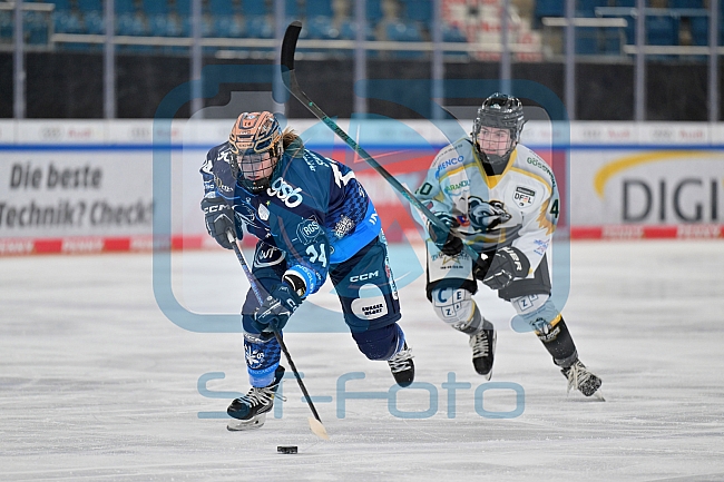Eishockey, Frauen, DFEL, Saison 2024-2025, ERC Ingolstadt - Mad Dogs Mannheim, 23.11.2024