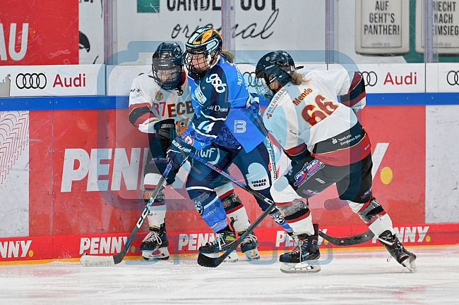 Eishockey, Frauen, DFEL, Saison 2023-2024, ERC Ingolstadt - EC Bergkamener Bären, 28.10.2023