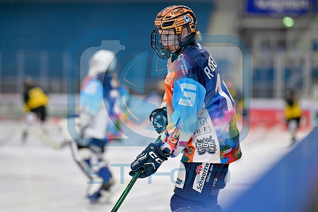 Eishockey, Frauen, DFEL, Saison 2024-2025, ERC Ingolstadt - Mad Dogs Mannheim, 23.11.2024