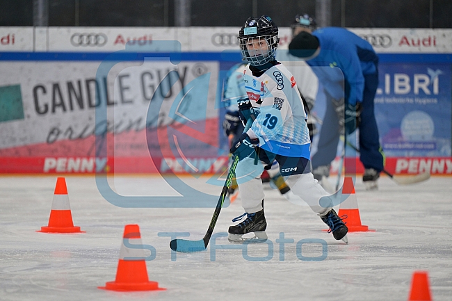 Eishockey, Herren, DEL, Saison 2024-2025, ERC Ingolstadt - Kids On Ice Day, 11.01.2025