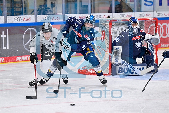 Eishockey, Herren, DEL, Saison 2024-2025, Playoffs Halbfinale, Spiel 5, ERC Ingolstadt - Kölner Haie, 11.04.2025