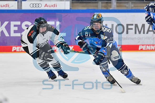 Eishockey, Frauen, DFEL, Saison 2023-2024, ERC Ingolstadt - Amsterdam Tigers, 06.01.2024