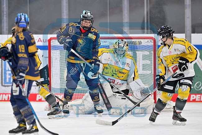 Eishockey, Frauen, DFEL, Saison 2022-2023, ERC Ingolstadt - Mad Dogs Mannheim, 19.11.2022