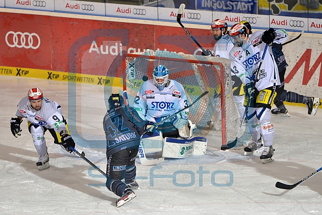 ERC Ingolstadt vs Schwenninger Wild Wings, Eishockey, DEL, Deutsche Eishockey Liga, 22.01.2016