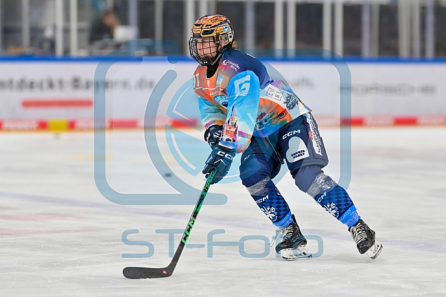 Eishockey, Frauen, DFEL, Saison 2024-2025, ERC Ingolstadt - ECDC Memmingen Indians, 16.11.2024