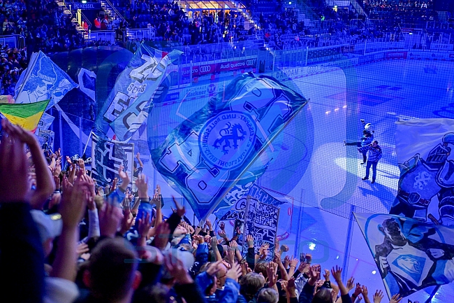 Eishockey, Herren, DEL, Saison 2025-2026, Spiel 19, ERC Ingolstadt - Augsburger Panther, 16.11.2025