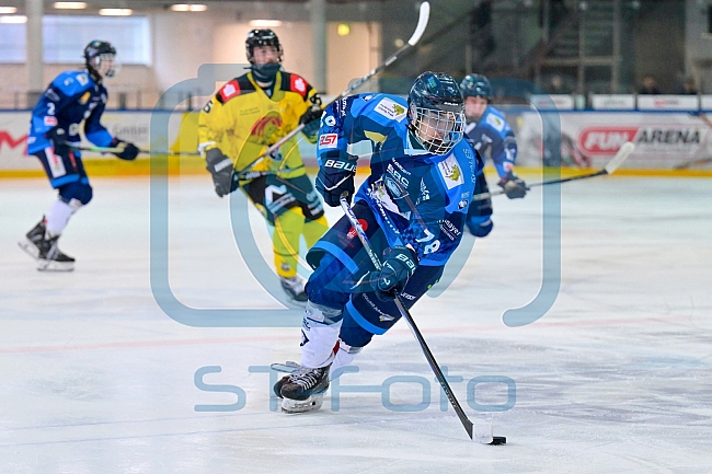 Eishockey, Herren, U20 DNL, Saison 2025-2026, Halbfinale - Spiel 2, ERC Ingolstadt - Krefelder EV 81, 15.03.2026