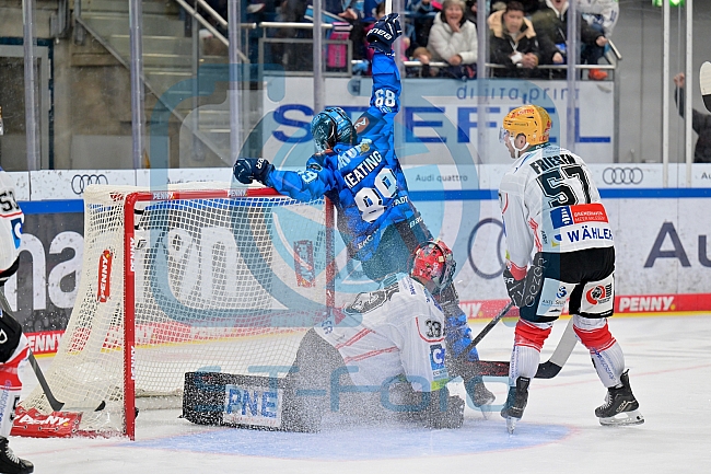 Eishockey, Herren, DEL, Saison 2025-2026, Spiel 21, ERC Ingolstadt - Pinguins Bremerhaven, 23.11.2025