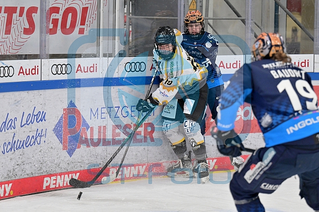 Eishockey, Frauen, DFEL, Saison 2024-2025, ERC Ingolstadt - Mad Dogs Mannheim, 23.11.2024