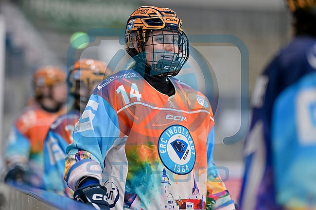 Eishockey, Frauen, DFEL, Saison 2024-2025, ERC Ingolstadt - Mad Dogs Mannheim, 23.11.2024