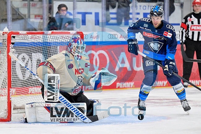 Eishockey, Herren, DEL, Saison 2024-2025, Playoffs Viertelfinale, Spiel 1, ERC Ingolstadt - Nürnberg Ice Tigers, 16.03.2025