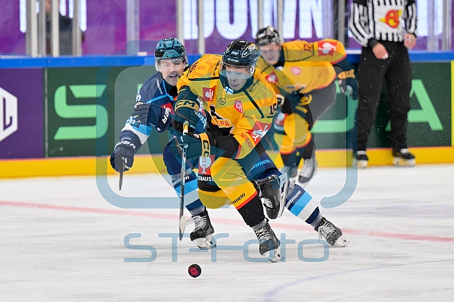 Hockey, Mens, CHL, Season 2025-2026, Regular Season, Game Day 2, ERC Ingolstadt - Kalpa Kuopio, 30.08.2025