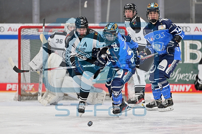 Eishockey, Frauen, DFEL, Saison 2023-2024, ERC Ingolstadt - Amsterdam Tigers, 06.01.2024