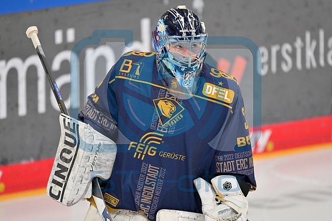 Eishockey, Frauen, DFEL, Saison 2022-2023, ERC Ingolstadt - Mad Dogs Mannheim, 20.11.2022