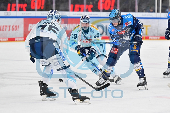 Eishockey, Herren, DEL, Saison 2025-2026, Spiel 44, ERC Ingolstadt - Dresdner Eislöwen, 27.01.2026