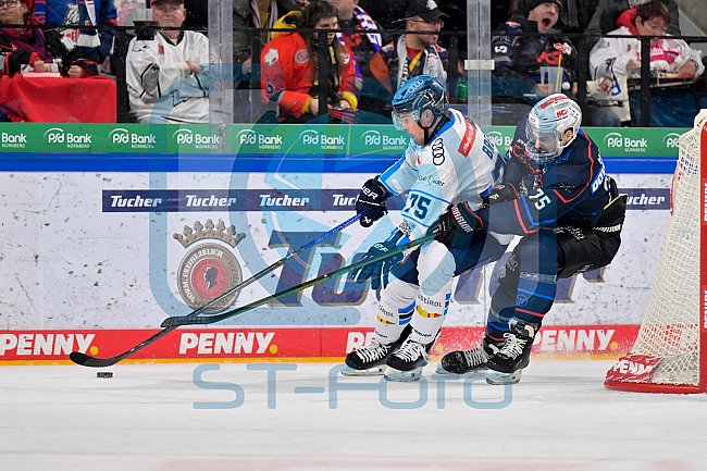 Eishockey, Herren, DEL, Saison 2025-2026, Spiel 24, Nürnberg Ice Tigers - ERC Ingolstadt, 30.11.2025