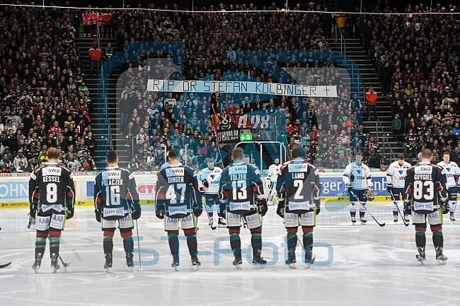Augsburger Panther vs ERC ingolstadt, Eishockey, DEL, Deutsche Eishockey Liga, 05.03.2015