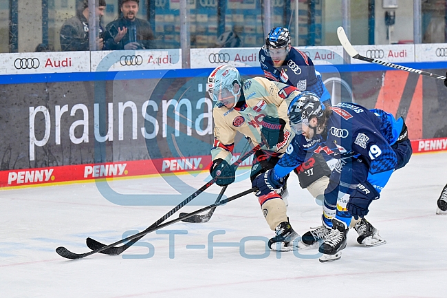Eishockey, Herren, DEL, Saison 2024-2025, Playoffs Viertelfinale, Spiel 1, ERC Ingolstadt - Nürnberg Ice Tigers, 16.03.2025