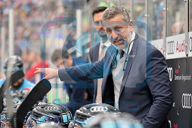 Eishockey, Herren, DEL, Saison 2022-2023, Playoff-Viertelfinale - Spiel 5, ERC Ingolstadt - Düsseldorfer EG, 24.03.2023