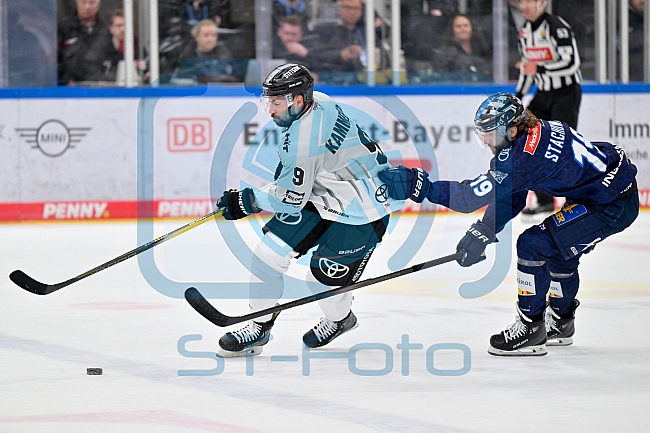 Eishockey, Herren, DEL, Saison 2024-2025, Playoffs Halbfinale, Spiel 5, ERC Ingolstadt - Kölner Haie, 11.04.2025
