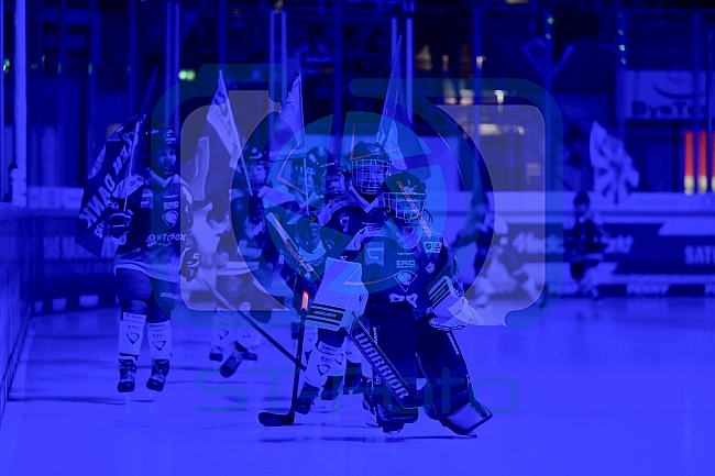 Eishockey, Herren, DEL, Saison 2025-2026, Spiel 43, ERC Ingolstadt - Schwenninger Wild Wings, 25.01.2026