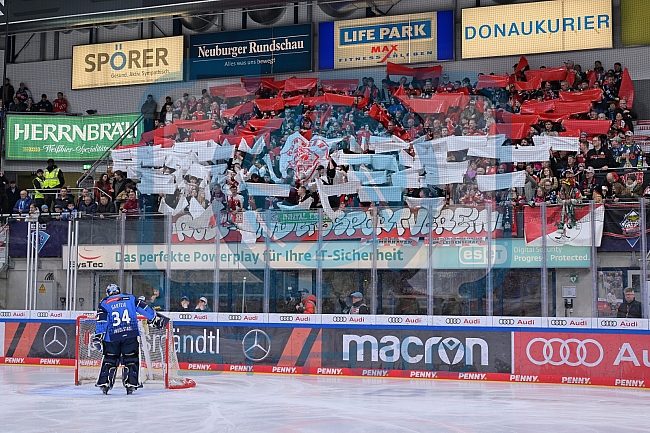 Eishockey, Herren, DEL, Saison 2023-2024, Playoffs Viertelfinale - Spiel 4, ERC Ingolstadt - Fischtown Pinguins , 24.03.2024