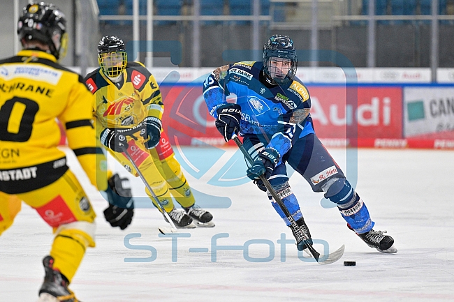 Eishockey, U20, DNL, Saison 2024-2025, ERC Ingolstadt - Krefelder EV 81, 01.03.2025