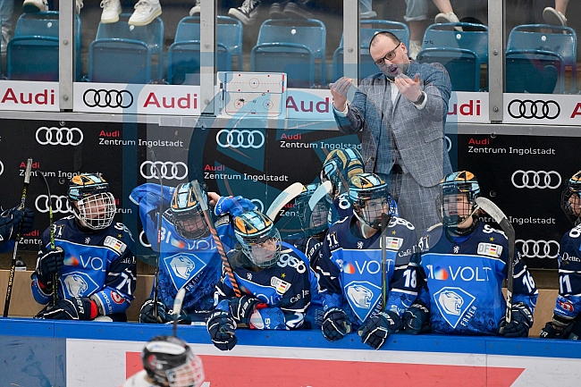 Eishockey, Frauen, DFEL, Playoffs, Finale, Spiel 3, Saison 2023-2024, ERC Ingolstadt - ECDC Memmingen Indians, 23.03.2024