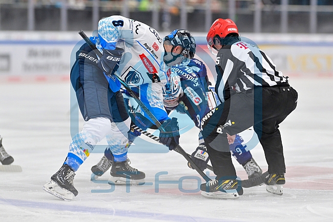 Eishockey, Herren, DEL, Saison 2024-2025, Vorbereitung, ERC Ingolstadt - Dresdner Eislöwen, 18.08.2024