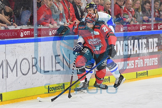 Koelner Haie vs ERC Ingolstadt, DEL, Deutsche Eishockey Liga, Playoffs, Viertelfinale, Spiel 7, 31.03.2019