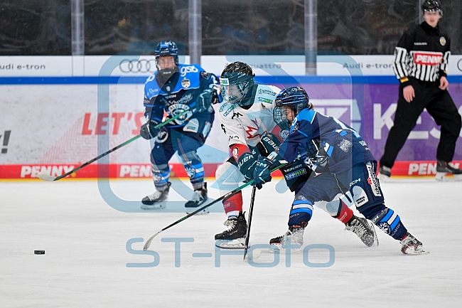 Eishockey, Frauen, DFEL, Saison 2025-2026, ERC Ingolstadt - HK Budapest, 15.11.2025