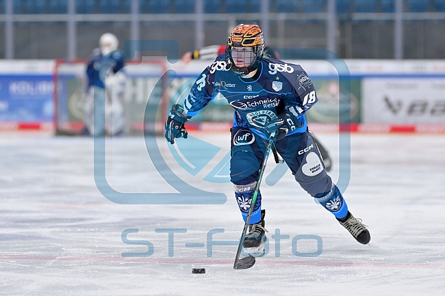 Eishockey, Frauen, DFEL, Saison 2024-2025, ERC Ingolstadt - EC Bergkamener Bären, 04.01.2025