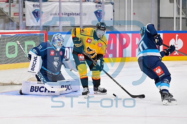 Hockey, Mens, CHL, Season 2025-2026, Regular Season, Game Day 2, ERC Ingolstadt - Kalpa Kuopio, 30.08.2025