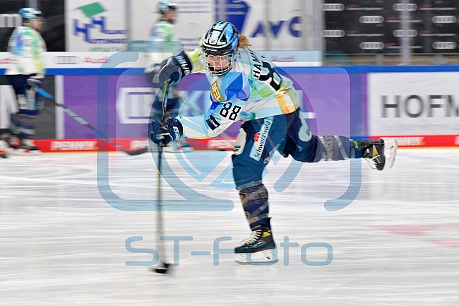 Eishockey, Frauen, DFEL, Saison 2022-2023, ERC Ingolstadt - Mad Dogs Mannheim, 19.11.2022