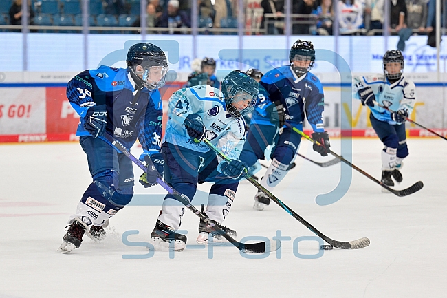 Eishockey, Herren, DEL, Saison 2025-2026, Spiel 7, ERC Ingolstadt - Straubing Tigers, 03.10.2025