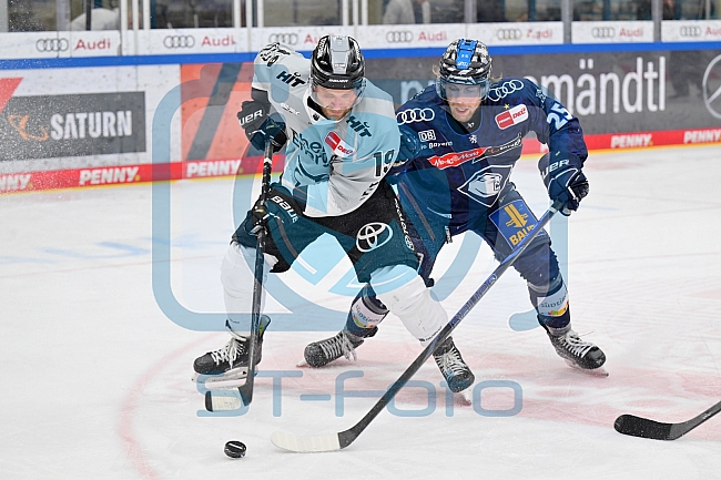 Eishockey, Herren, DEL, Saison 2024-2025, Playoffs Halbfinale, Spiel 5, ERC Ingolstadt - Kölner Haie, 11.04.2025