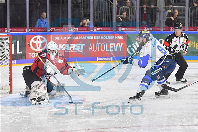 Koelner Haie vs ERC Ingolstadt, DEL, Deutsche Eishockey Liga, Playoffs, Viertelfinale, Spiel 7, 31.03.2019