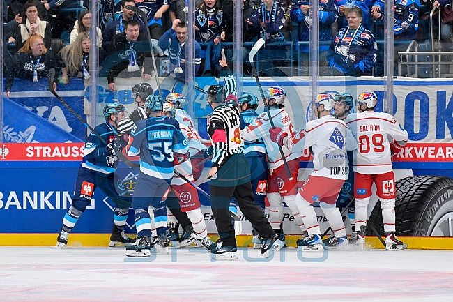 Hockey, Mens, CHL, Season 2025-2026, Regular Season, Round of 16, ERC Ingolstadt - EC Red Bull Salzburg, 12.11.2025