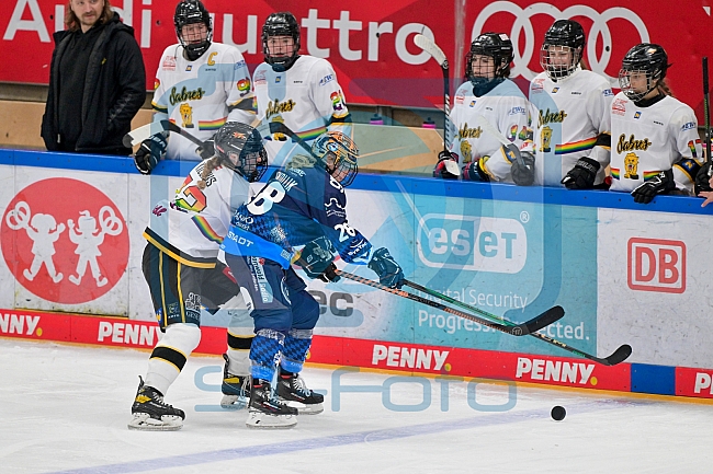 Eishockey, Frauen, DFEL, Vorbereitung, Saison 202-2025, ERC Ingolstadt - St. Pölten, 07.09.2024