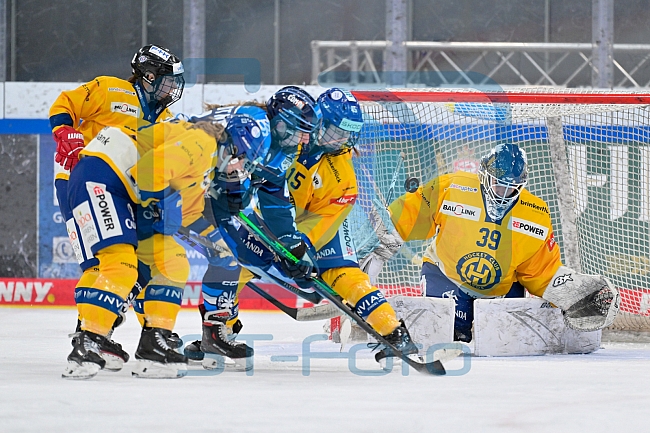 Eishockey, Frauen, DFEL, Saison 2025-2026, Testspiel, ERC Ingolstadt - HC Davos, 14.02.2026