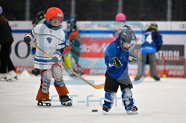 Eishockey, Herren, DEL, Saison 2024-2025, ERC Ingolstadt - Kids On Ice Day, 11.01.2025